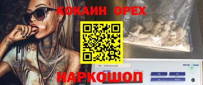 Альфа ПВП Гатчина