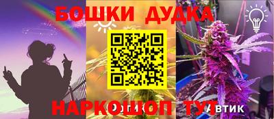 Альфа ПВП Гатчина