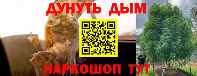 Альфа ПВП Гатчина
