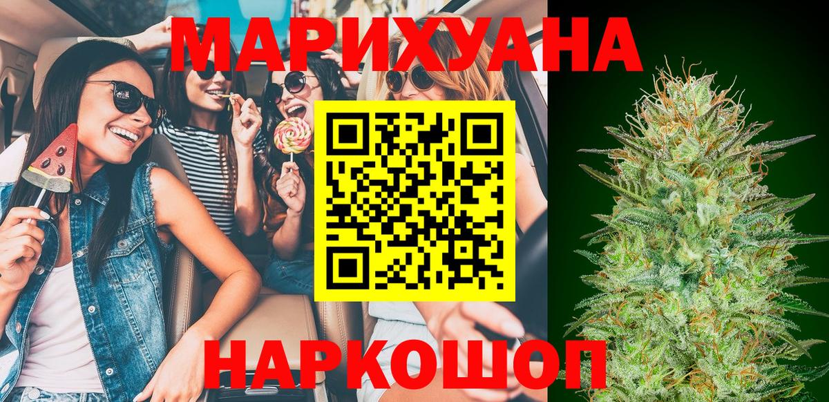 Марихуана сатива Канск